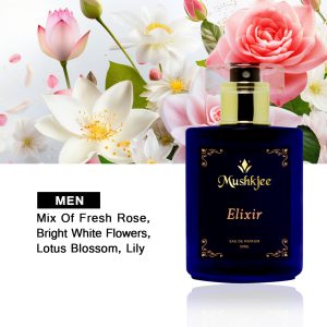 Elixir